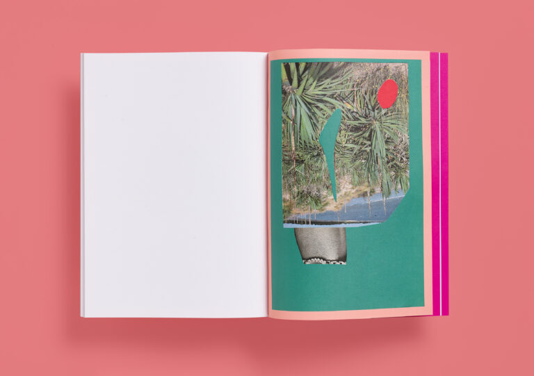 <em>Collages</em>, Abigail Janjic, book, 126 pages, Miami books, 2018